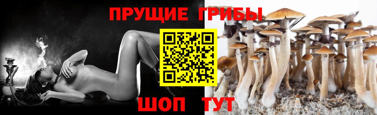 Галлюциногенные грибы GOLDEN TEACHER Рославль