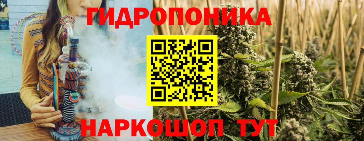 Канабис конопля  Вход с VPN  Марихуана White Widow  Рославль  Канабис Bruce Banner 